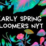 How to Make the Most of Your Early Spring Bloomers NYT